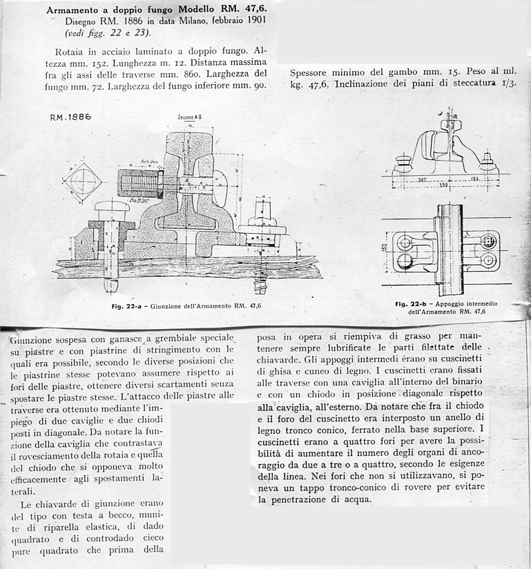 doppio fungo RM47004.jpg