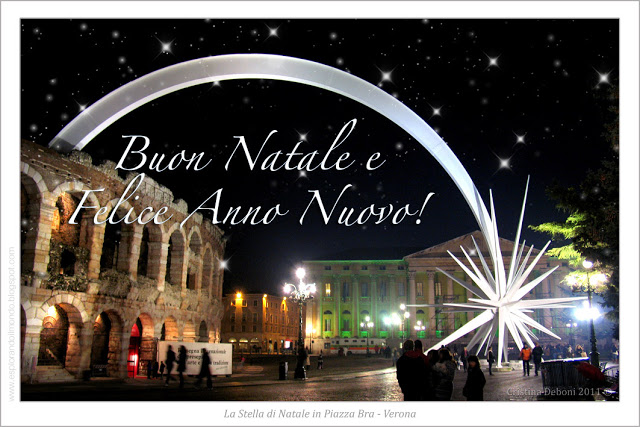 Stella di Natale - Verona.jpg