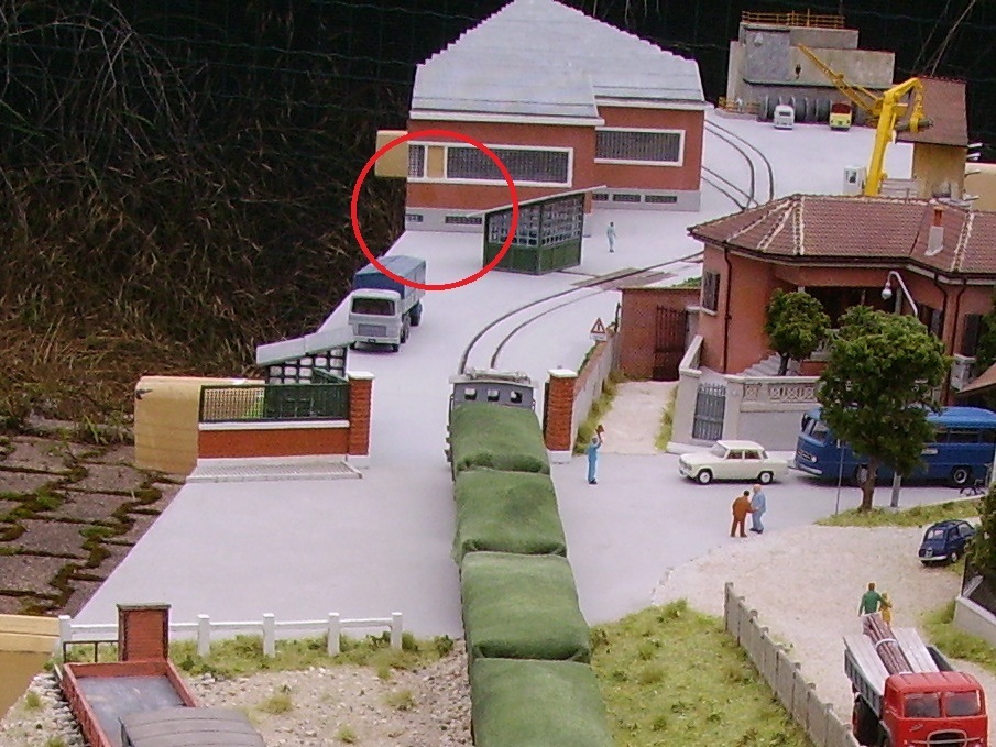 IMGP1477bis cerchiata (FILEminimizer).jpg