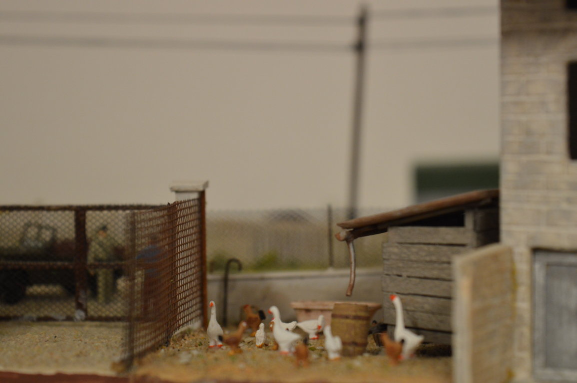 DSC_0076 (FILEminimizer).JPG