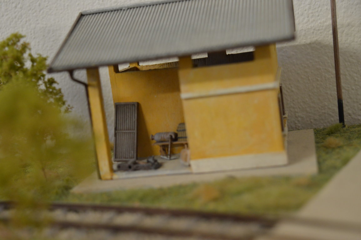 DSC_0090 (FILEminimizer).JPG