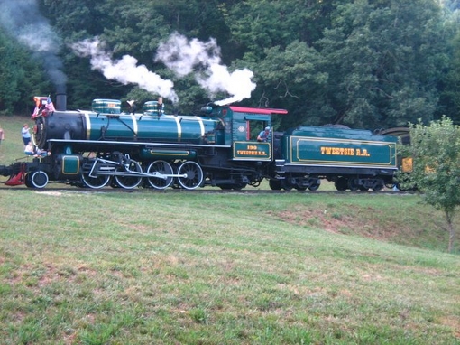 TWEETSIE6 (Copia).jpg