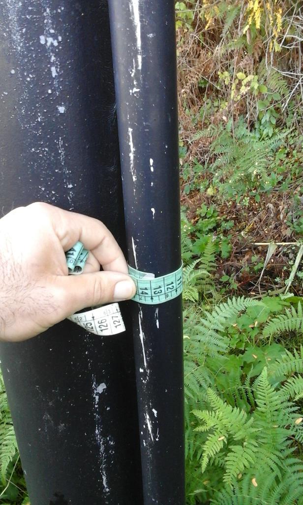 20151104_092401 - Copia.jpg