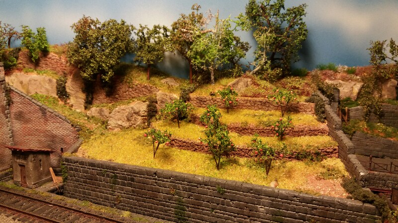 20160531_184917-800x450.jpg