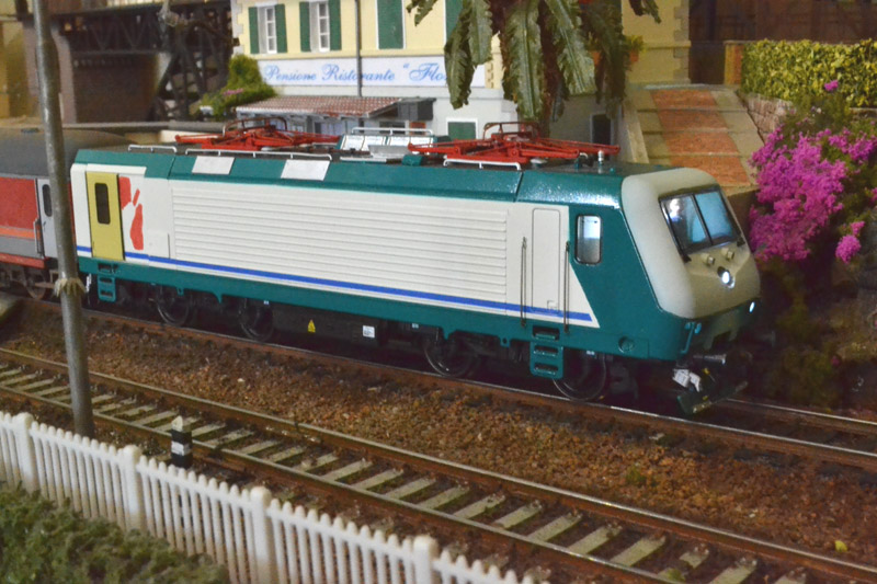 DSC_0029.jpg