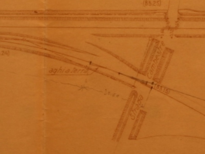 IMG_7245 aghi a terra.jpg