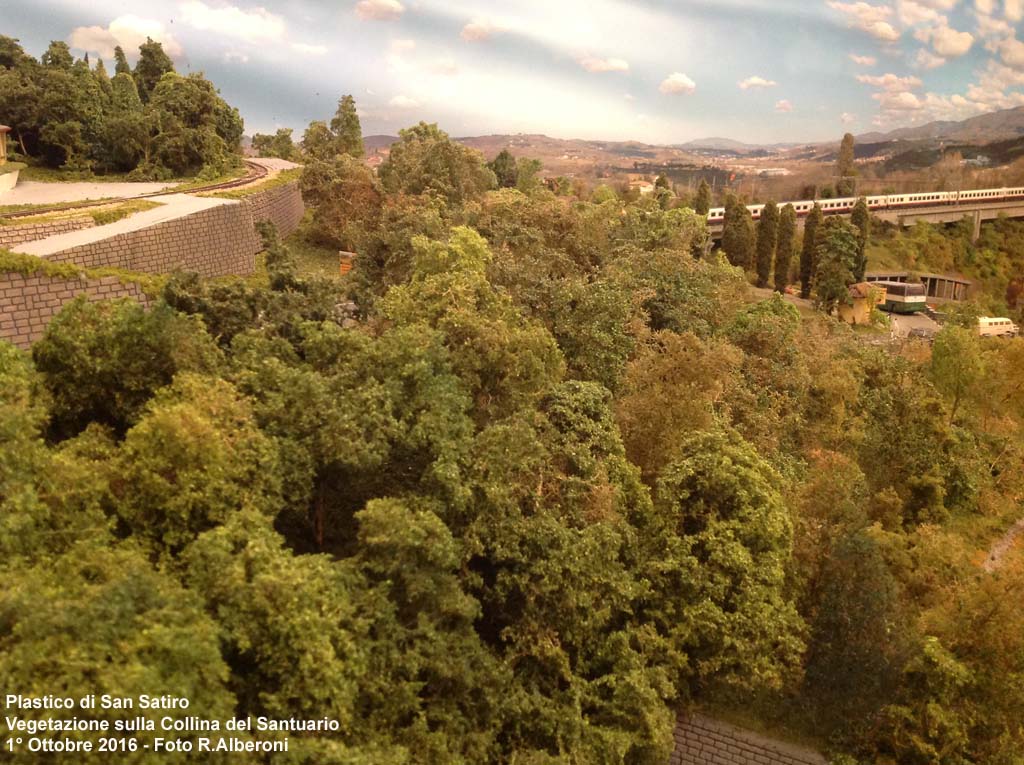 Collina Bosco 001.jpg