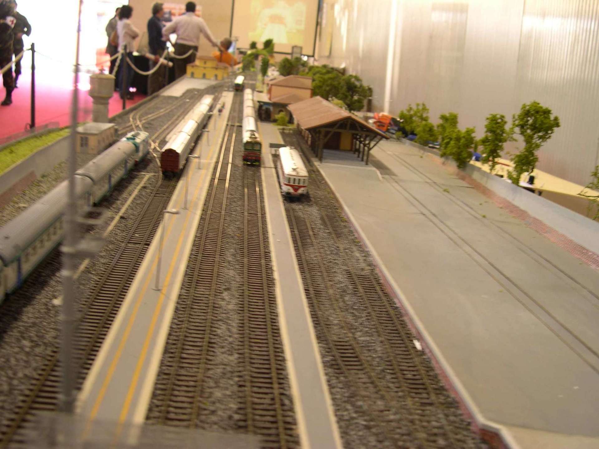 anche 20 carrozze.jpg