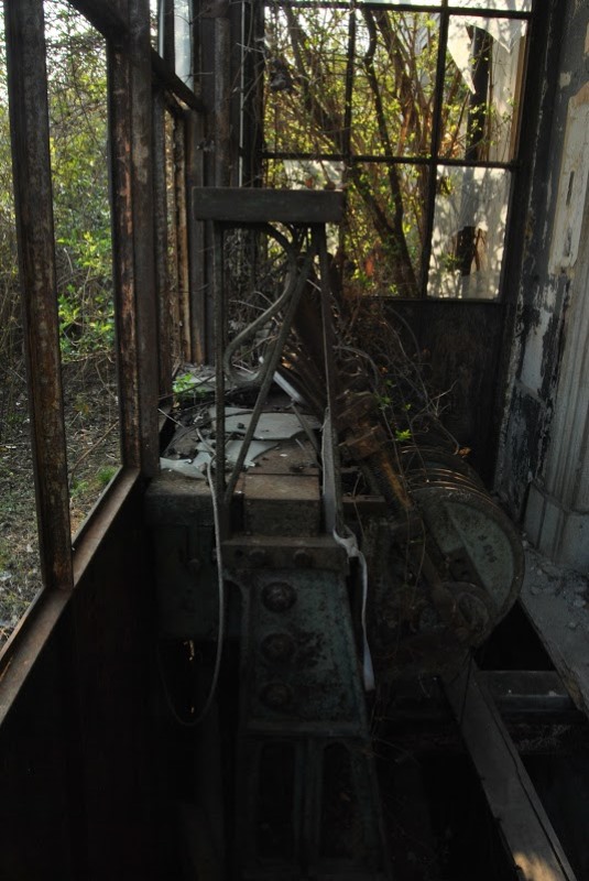 2015-03-19 volpago 03 foto Andrea Baldanello.JPG