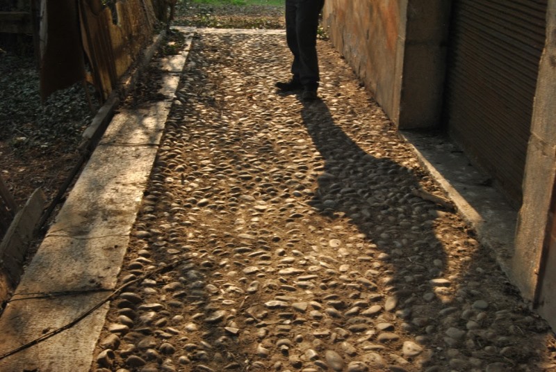 2015-03-19 volpago 08 foto Andrea Baldanello.JPG