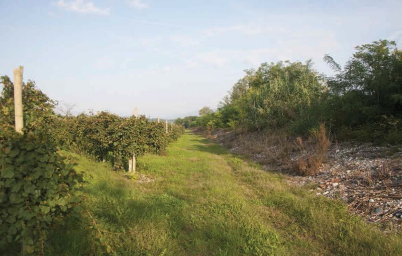 nervesa rilevato ferrovia.jpg