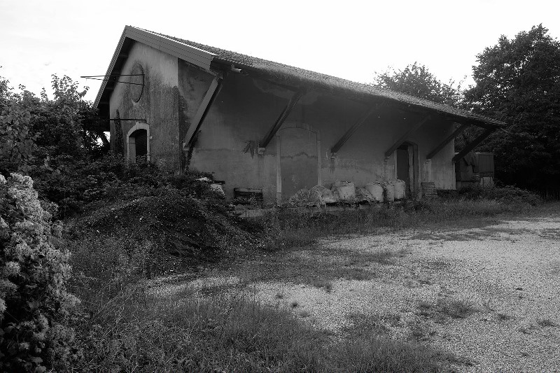 0001 sm Nervesa 2015.10.17 a flickr antares 63.jpg