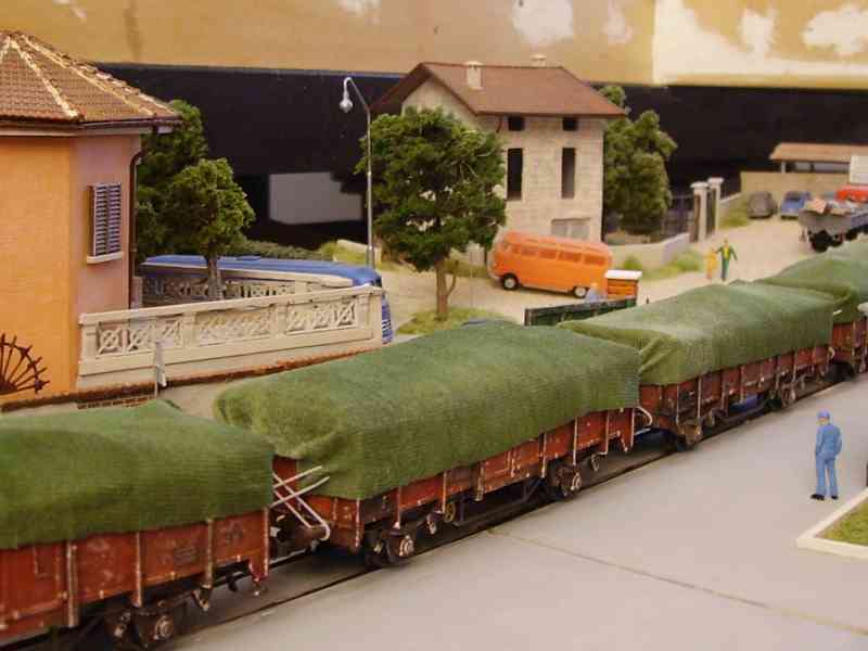 IMGP1447 - Copia.JPG