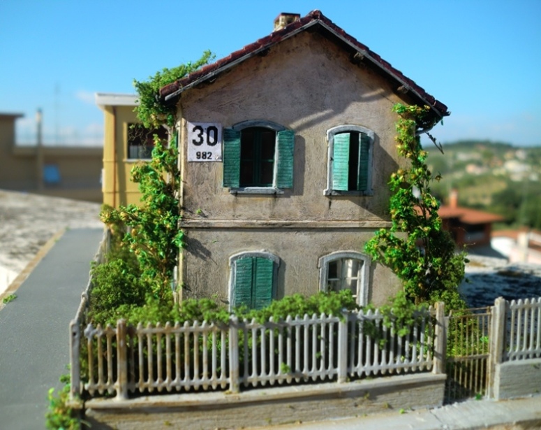 CIMG3842 - Copia.JPG