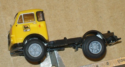 OM LUPETTO 5 RAZZE.jpg