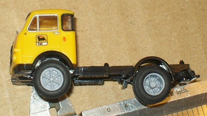 OM LUPETTO 6 RAZZE.jpg