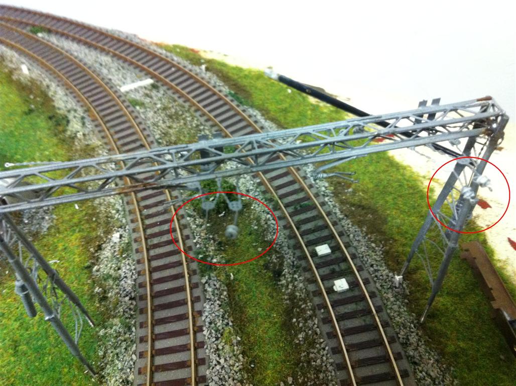 IMG_0136 (Medium).jpg