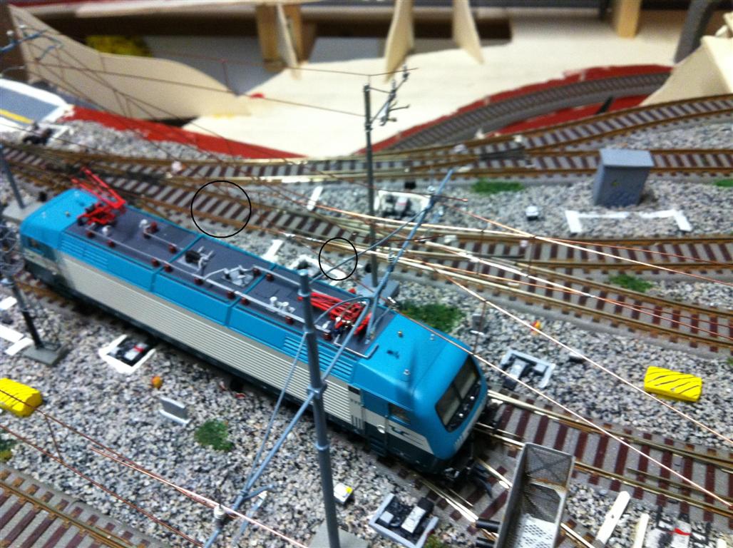 IMG_0137 (Medium).jpg