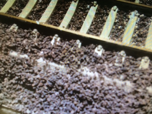 supporto in poliuretano.JPG