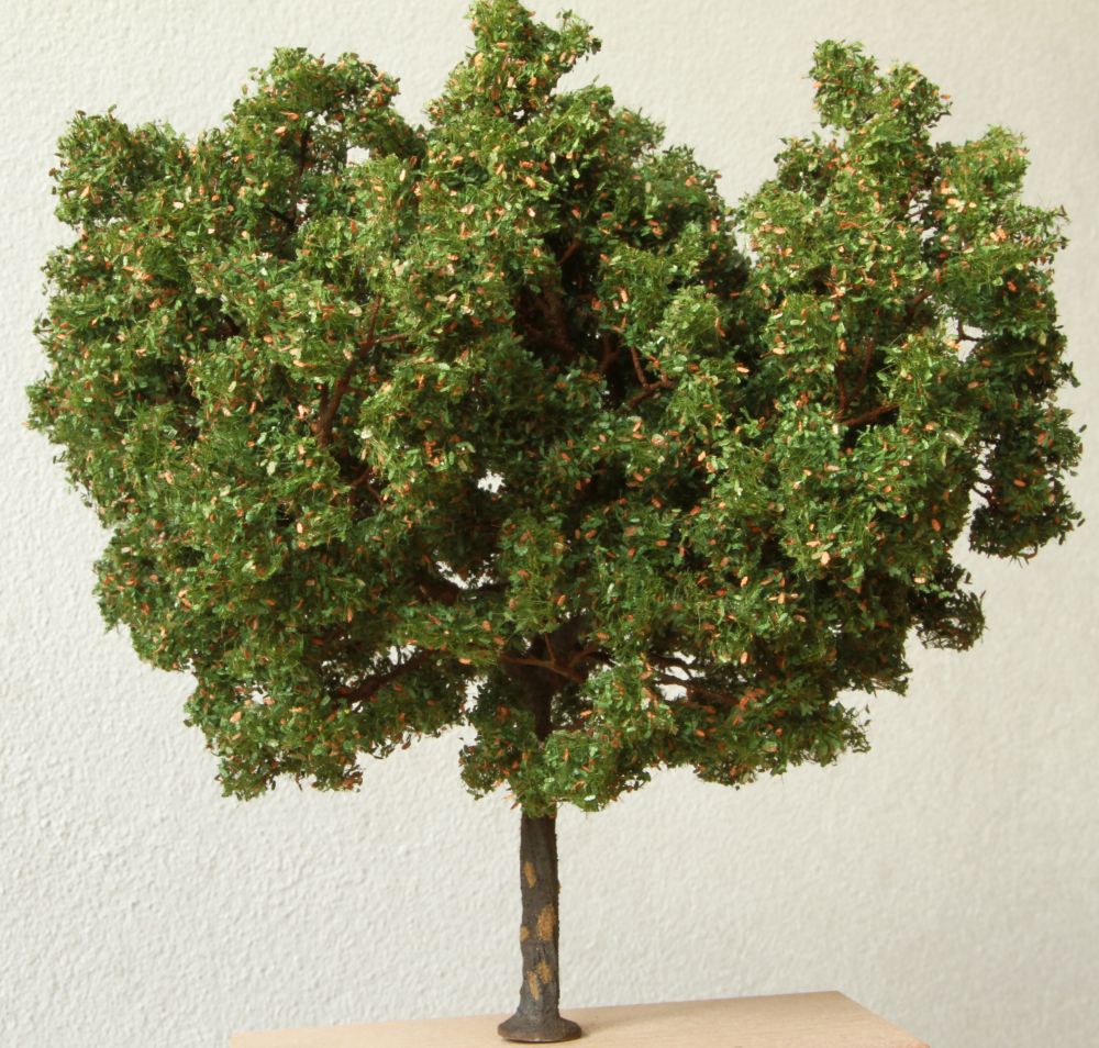quercia_2.jpg