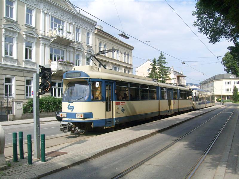 S7303793 (Medium).JPG