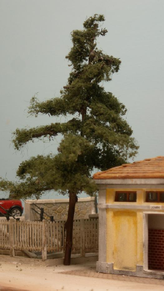 297.35 cipressi .JPG