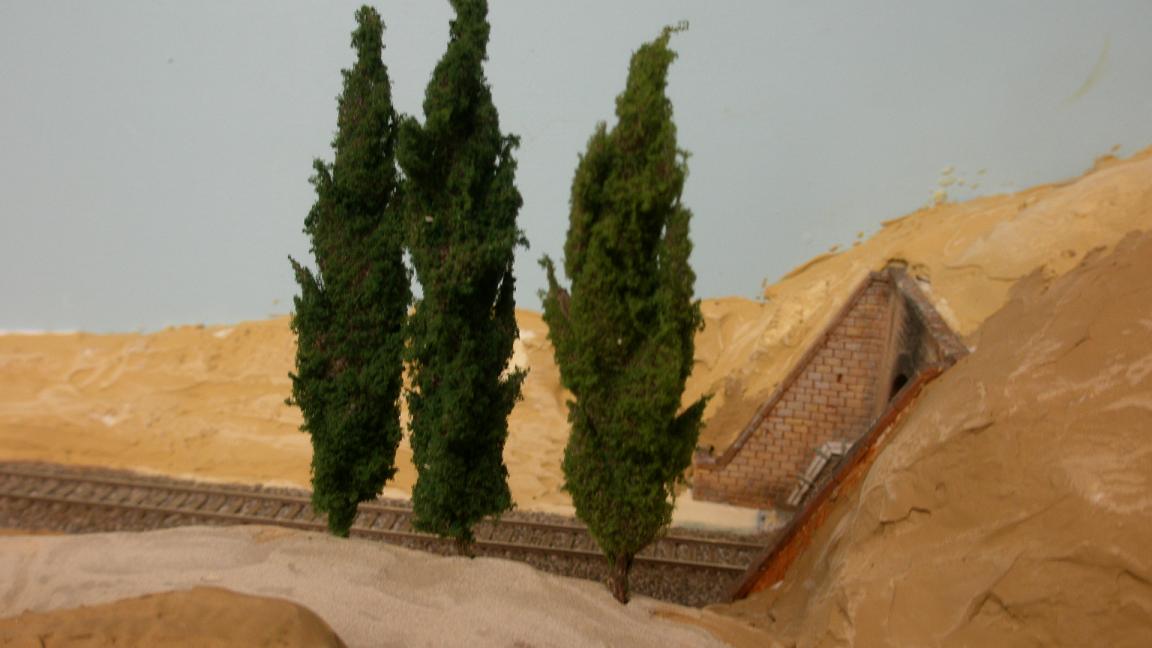 296.35 cipressi .JPG