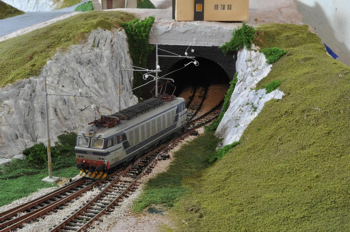 tigre su plastico.jpg