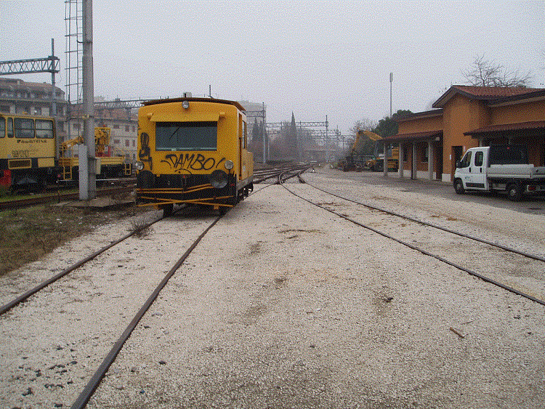 Conegliano_2013 005.gif