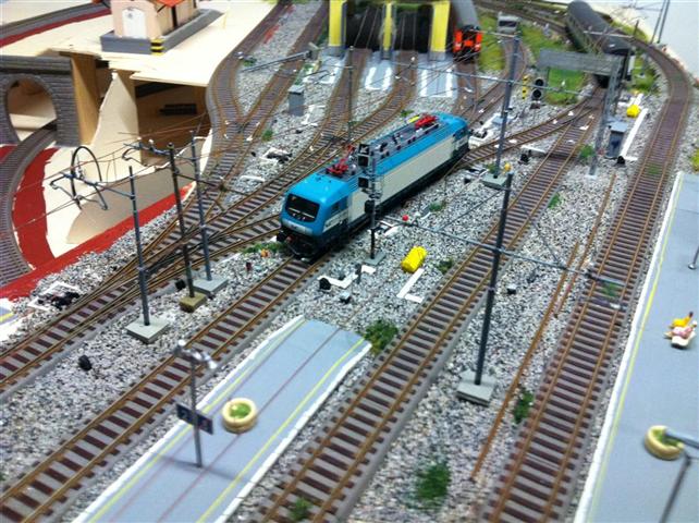 IMG_0133 (Medium) (Small).jpg