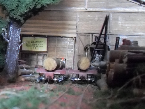 SDC12455 (Copia).JPG