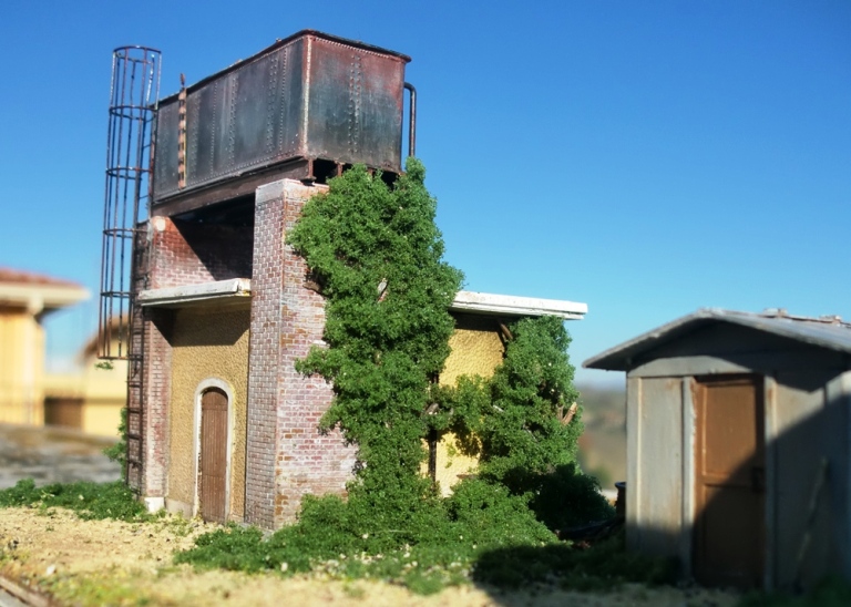 CIMG4999 - Copia.JPG