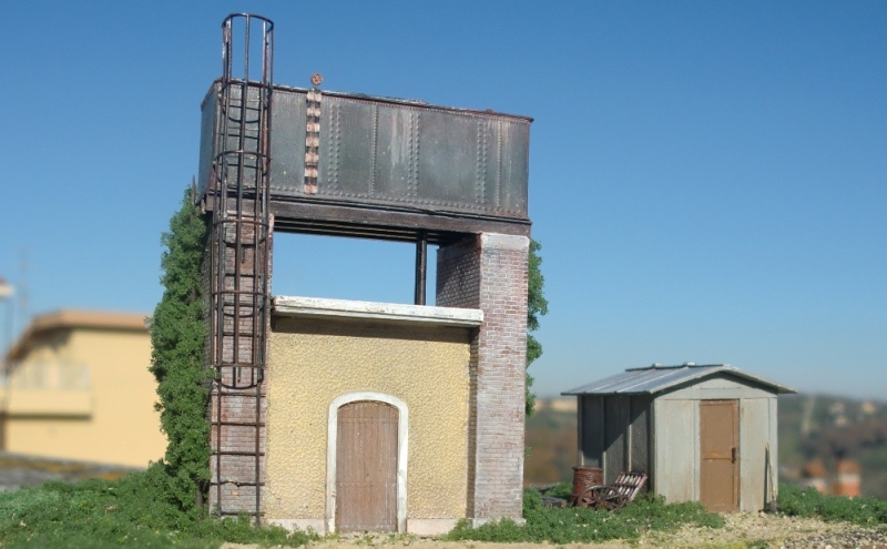 CIMG5002 - Copia.JPG