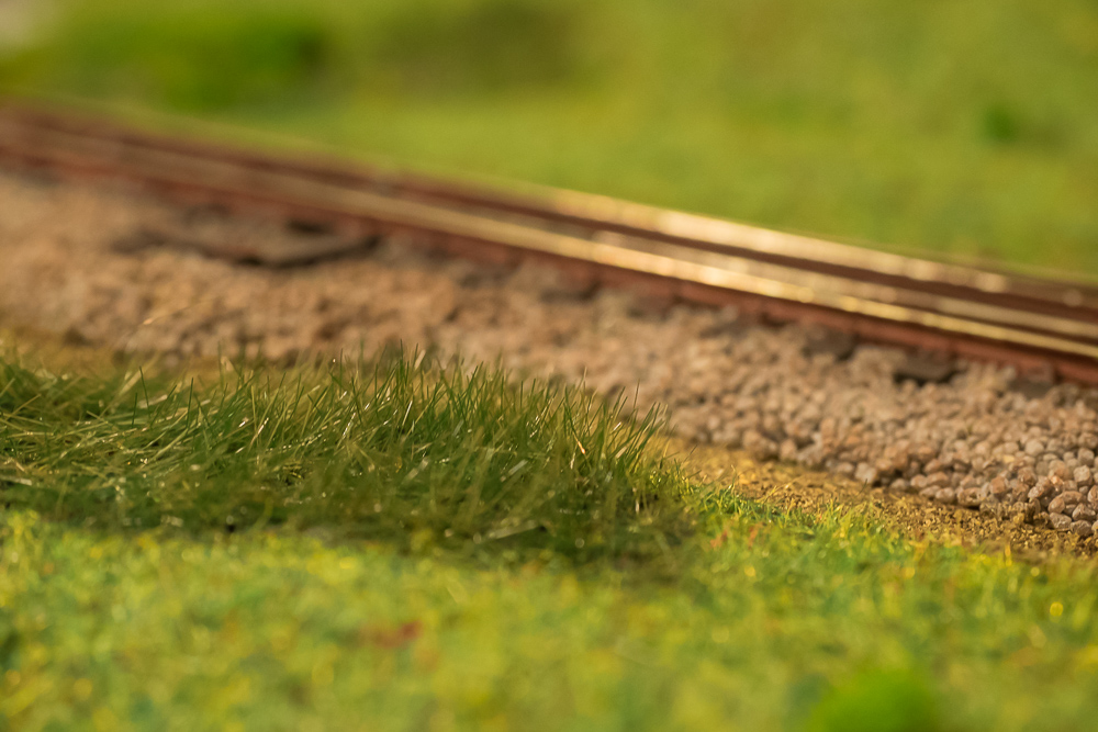 avanzamento lavori 22 Giugno 2019-12.jpg