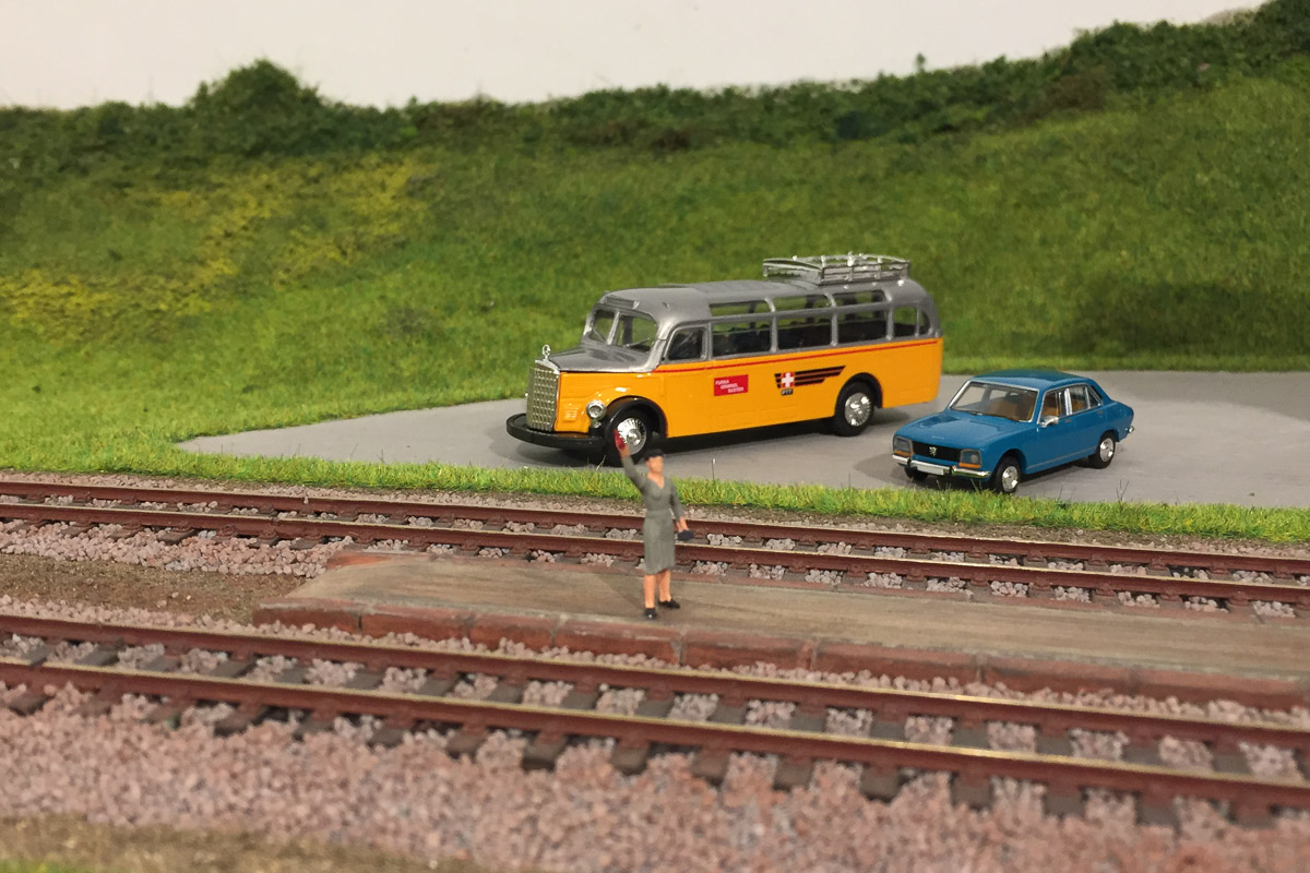 nuovi acquisti-1.jpg