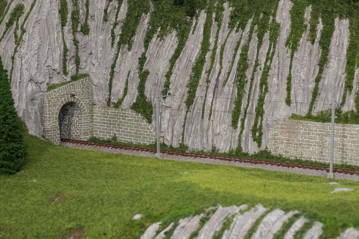 Avanzamento lavori 24-1-20 - vista osservatore-2.jpg