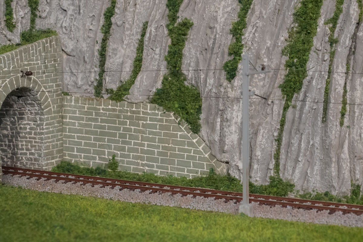 Avanzamento lavori 24-1-20 - close ups-4.jpg