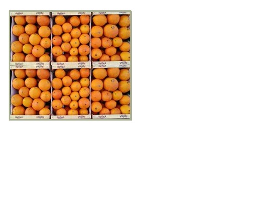 01 Pallet alto foto x forum.jpg