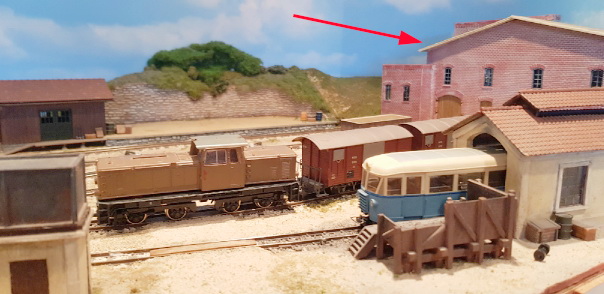 morcella freccia chiara.jpg