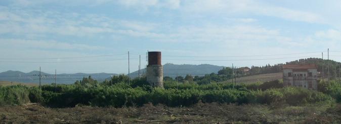 maremma.JPG