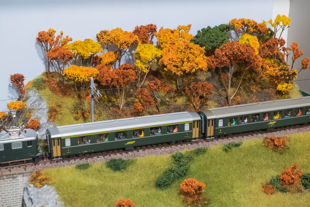 diorami RhB con treni-8.jpg