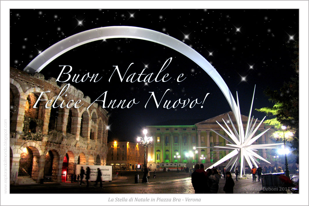 Stella di Natale - Verona.jpg