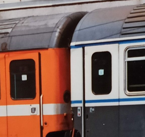 z1 gran gonfort-3.jpg