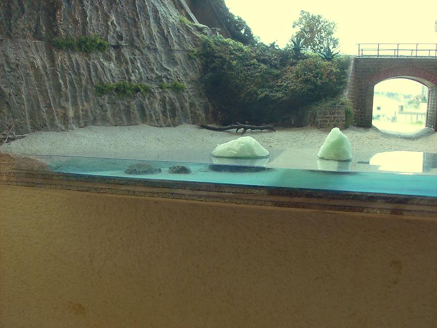 HPIM0193.JPG