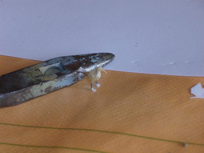 HPIM0280.JPG