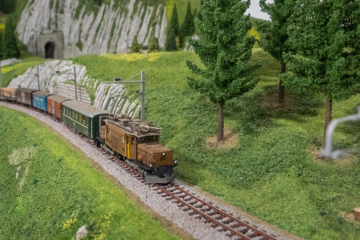 2021 03 27 - Solis-16.jpg