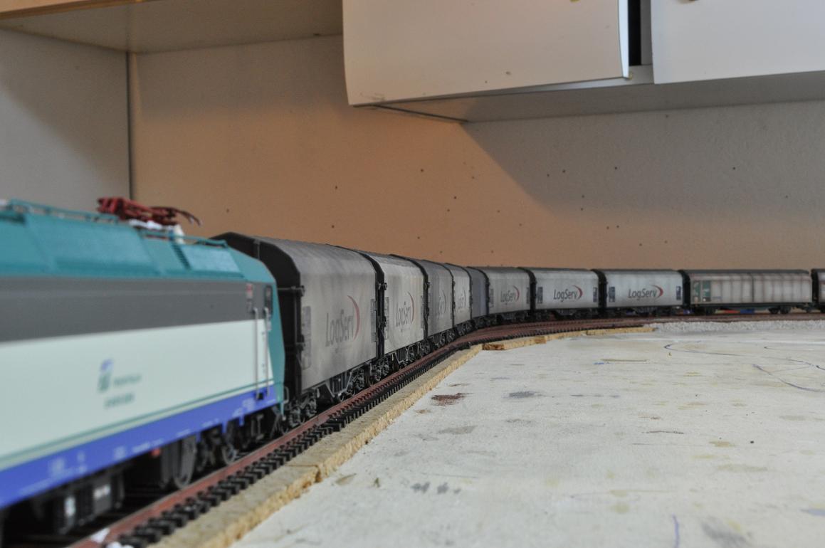 Copia di DSC_0431.jpg