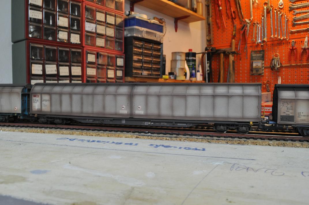 Copia di DSC_0454.jpg