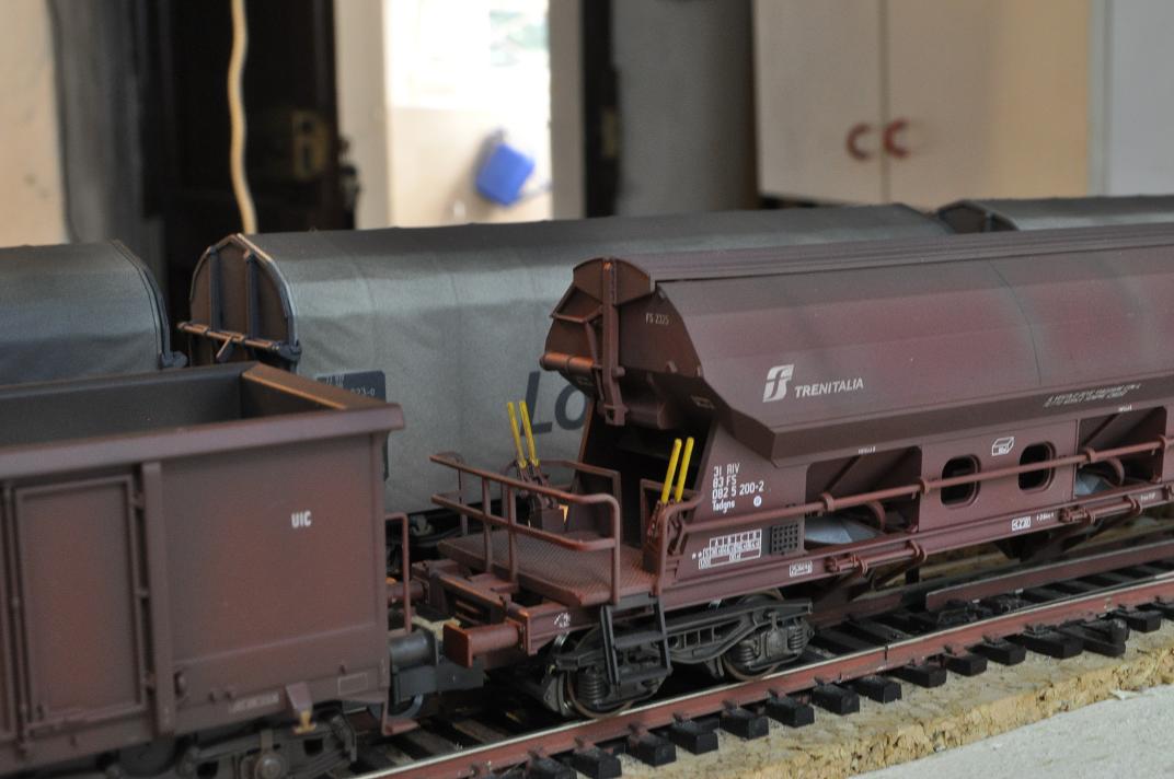 Copia di DSC_0480.jpg