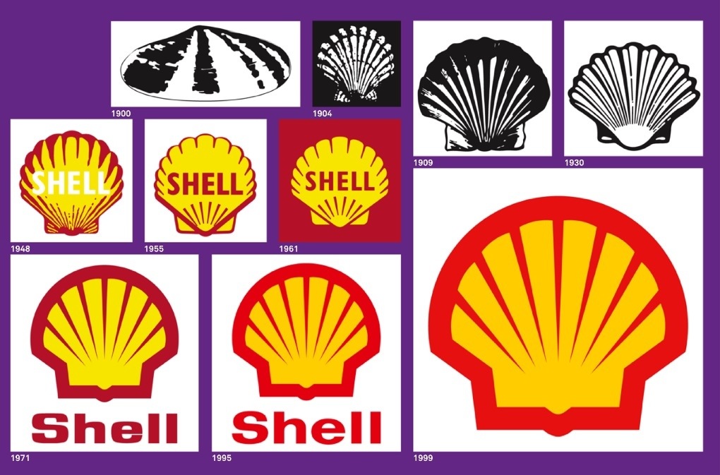 Shell 1.jpg